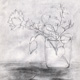 Sketch 12